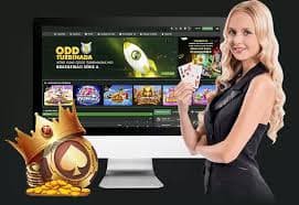 Responsive cricket session browsing on app 299bet across Bangladesh